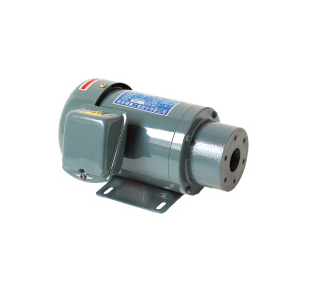 Motor bơm dầu trực tiếp 
